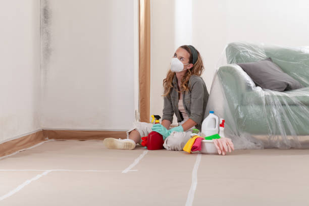 Reliable Mold Removal contractor in Peoria, IL by WQB Mold Removal